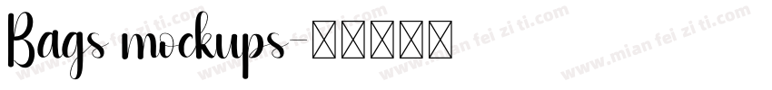 Bags mockups字体转换